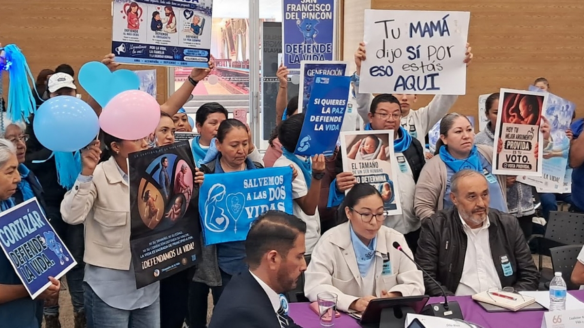 Provida activistas aborto