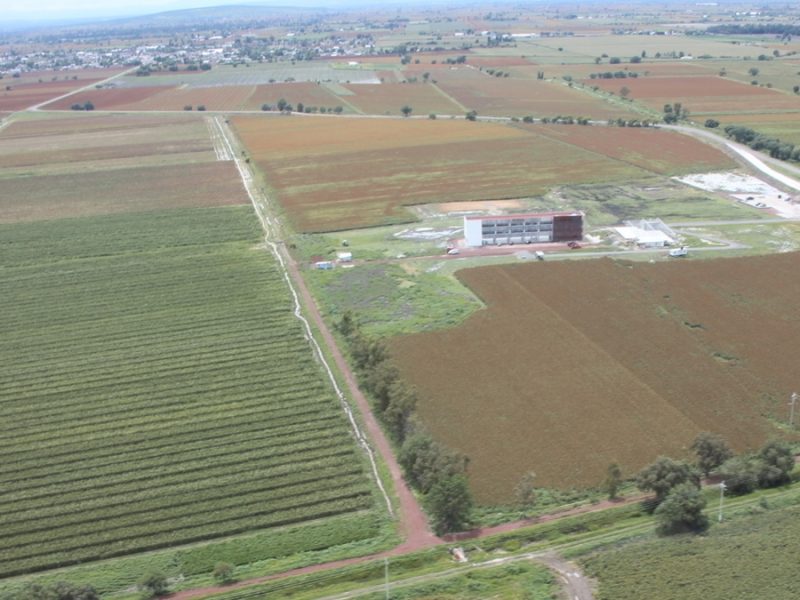 Advierten riesgos sanitarios ante caída del 50 % del presupuesto para vigilancia agroalimentaria
