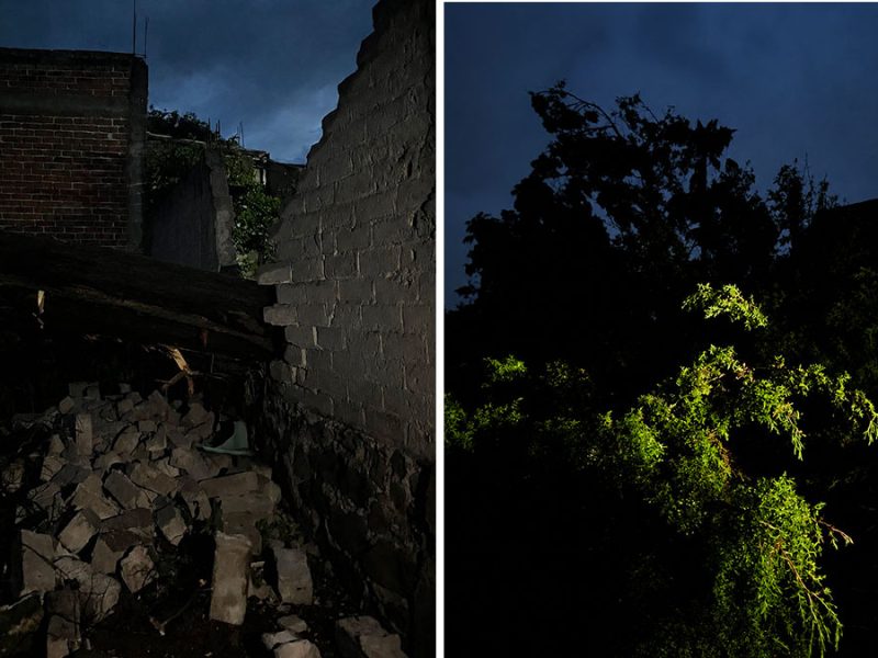 Árbol de 9 metros cae sobre vivienda en Acámbaro tras fuertes vientos