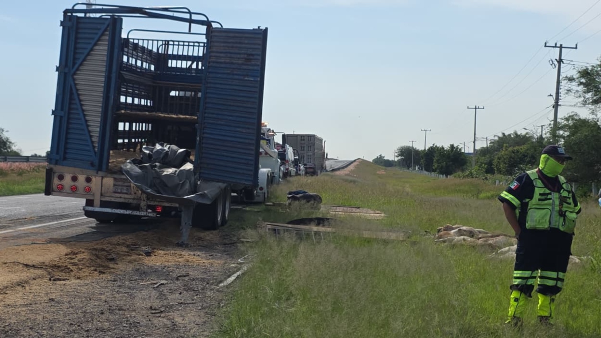 asalto autopista Salamanca-Celaya