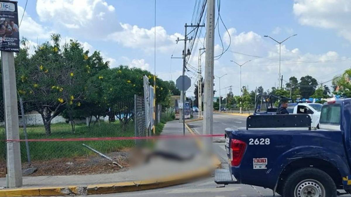 asesinado-purisima-del-rincon