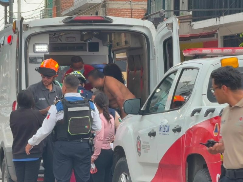 Ataque masivo de abejas en León deja 14 lesionados, entre ellos 3 menores de edad