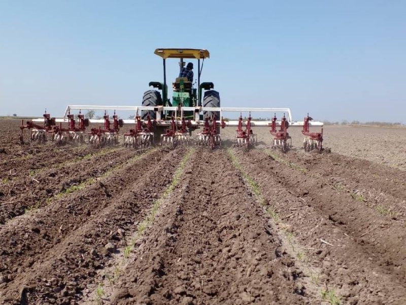 ‘Al borde del abismo’: Agricultores de EU acusan a Trump de poner en riesgo el T-MEC