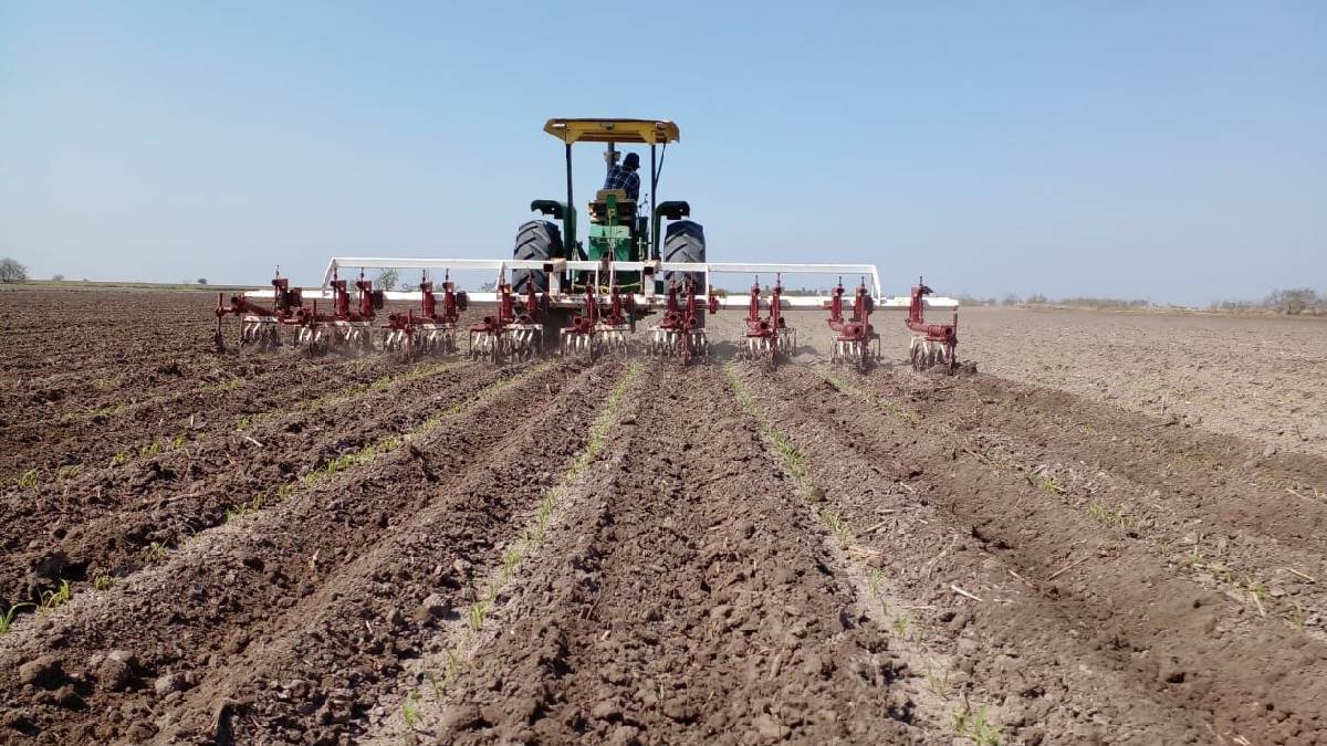 crisis agrícola Estados Unidos