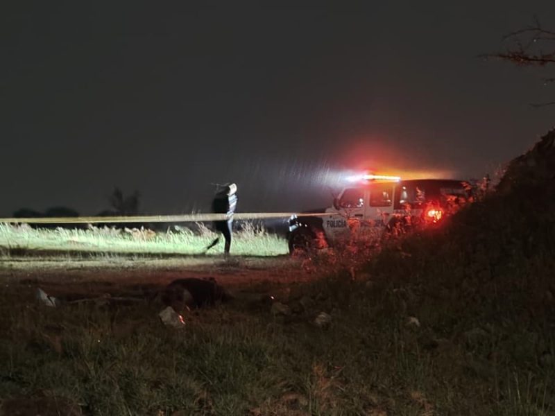 Perro llevaba un hueso en el hocico y descubren cuerpo en banco de tepetate