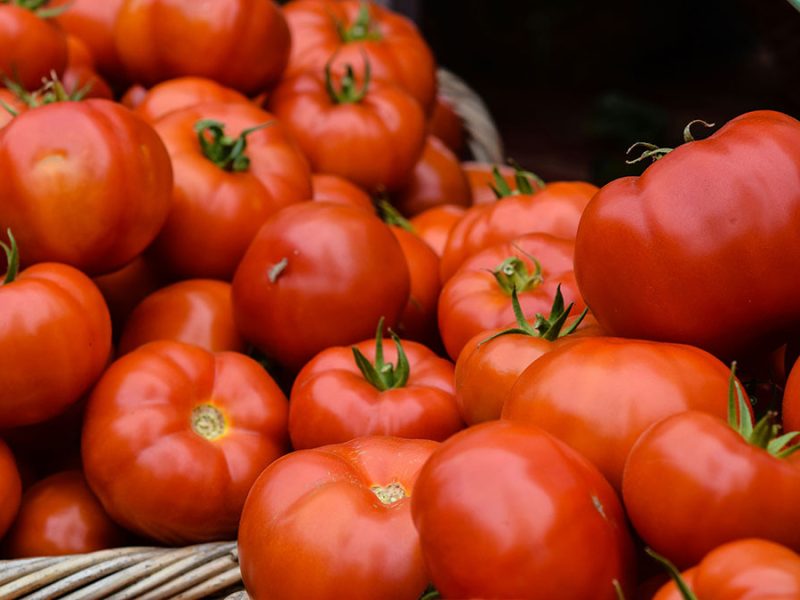 Inegi: Inflación frena su marcha a 3.10%; jitomate, aguacate y gas LP bajan precio