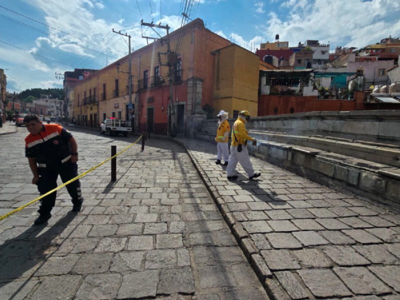 Cierran el puente de Tepetapa para controlar enjambre de abejas