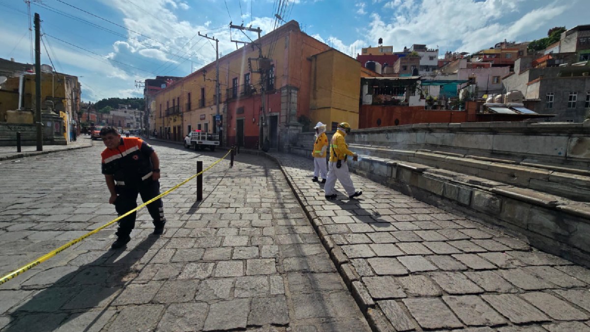enjambre de abejas