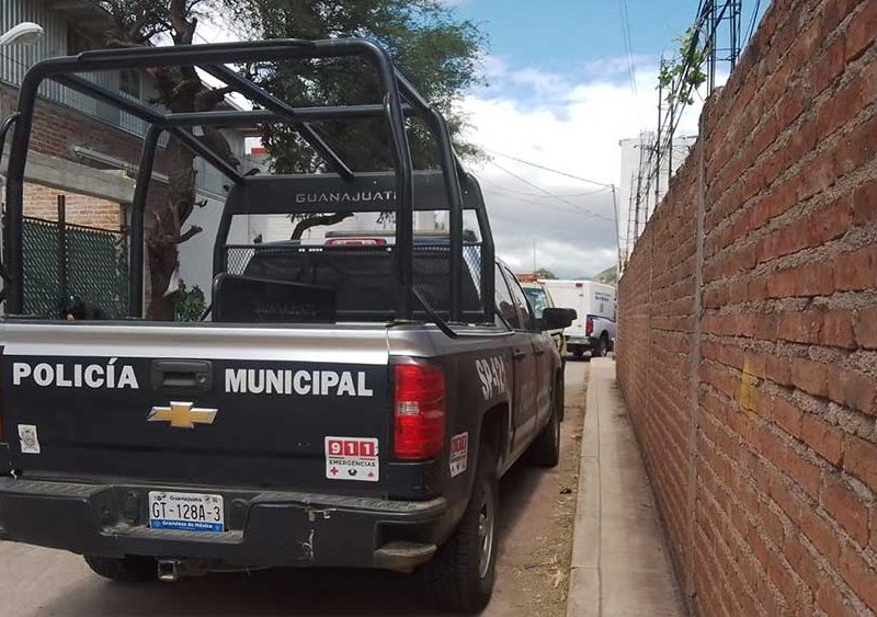 violencia familiar guanajuato capital