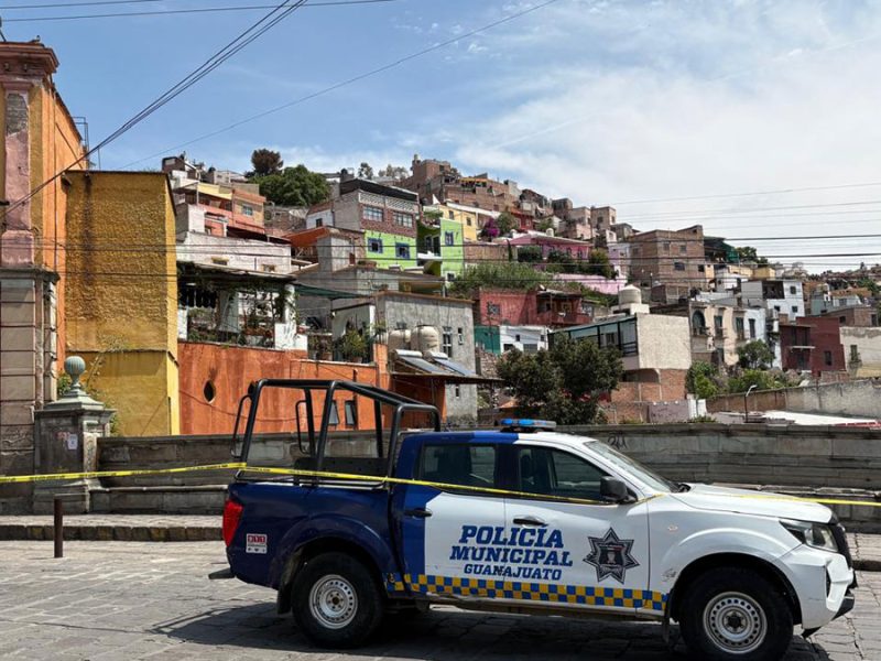Abejas invaden Puente de Tepetapa; enjambre se extiende a túneles y callejones