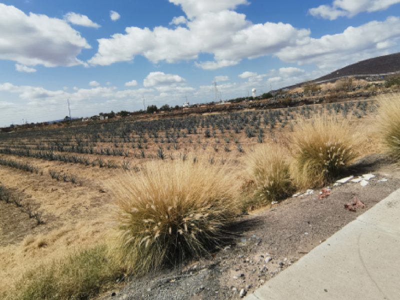 CCEI de Irapuato, más cerca de tener sede propia en San Antonio de Ayala
