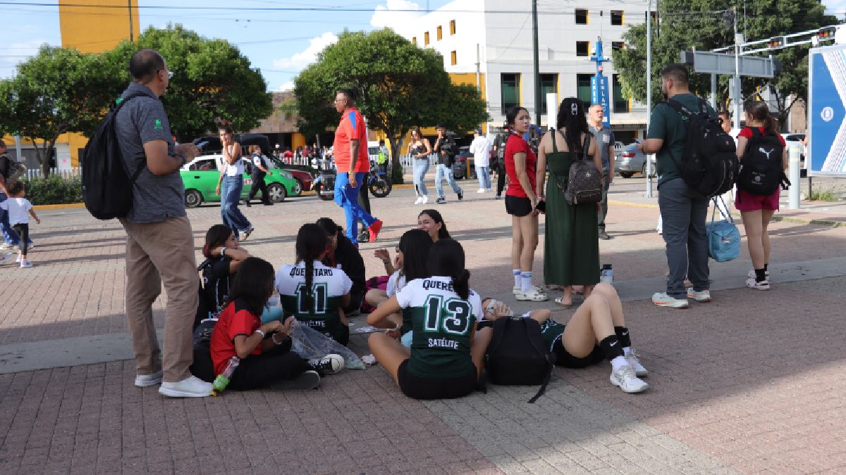 Festival de Voleibol León
