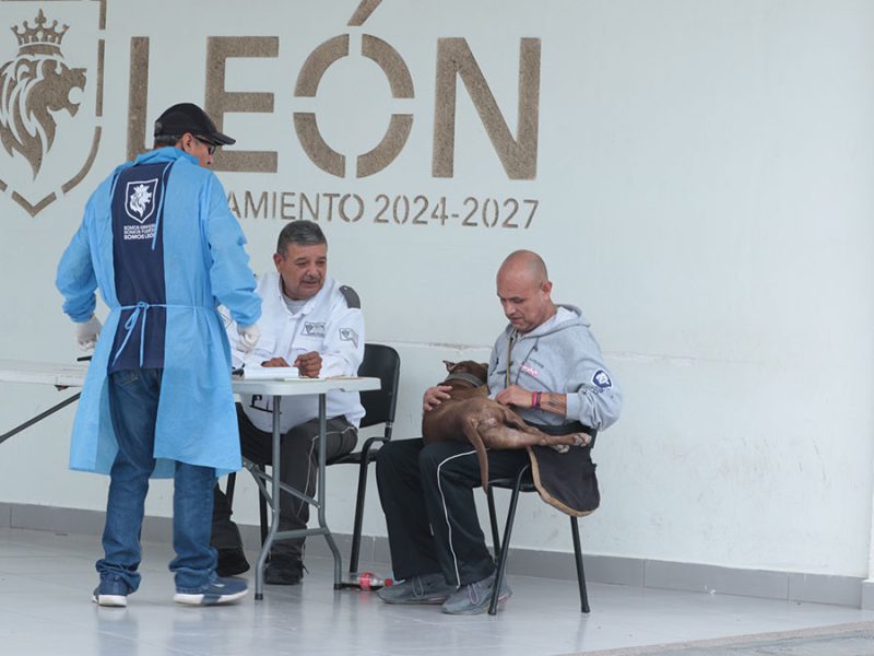 Hospital de Mascotas de León celebra su primer año con 95 mil atenciones y 15 mdp recaudados