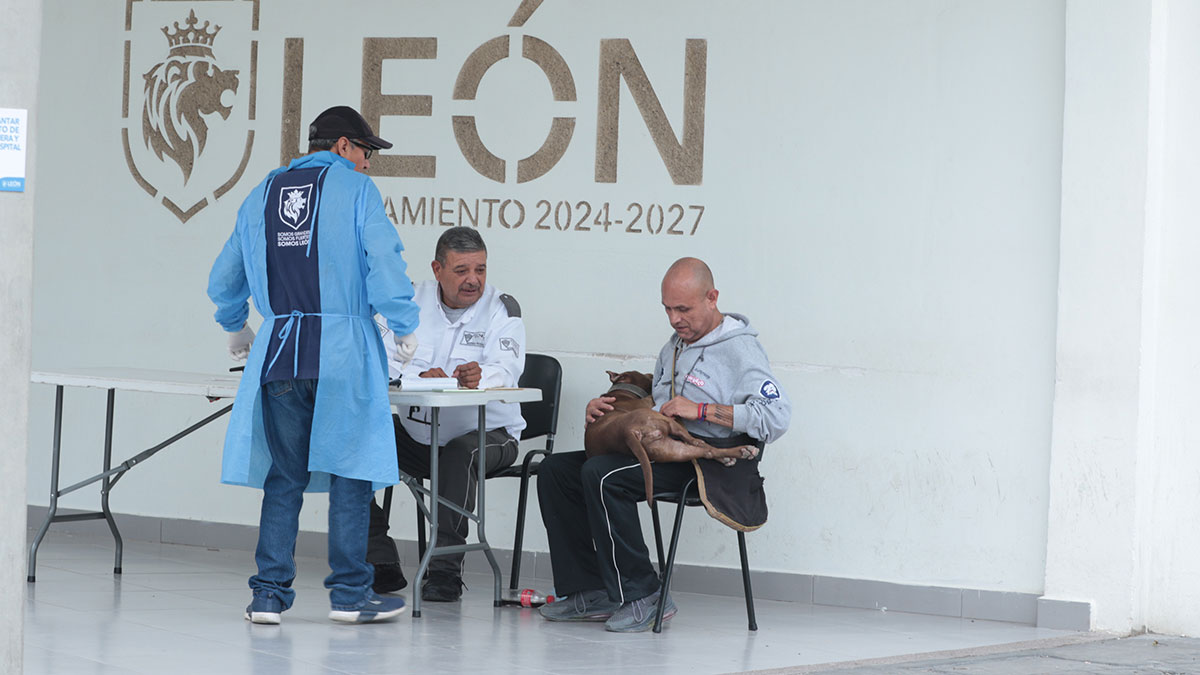Hospital de Mascotas León