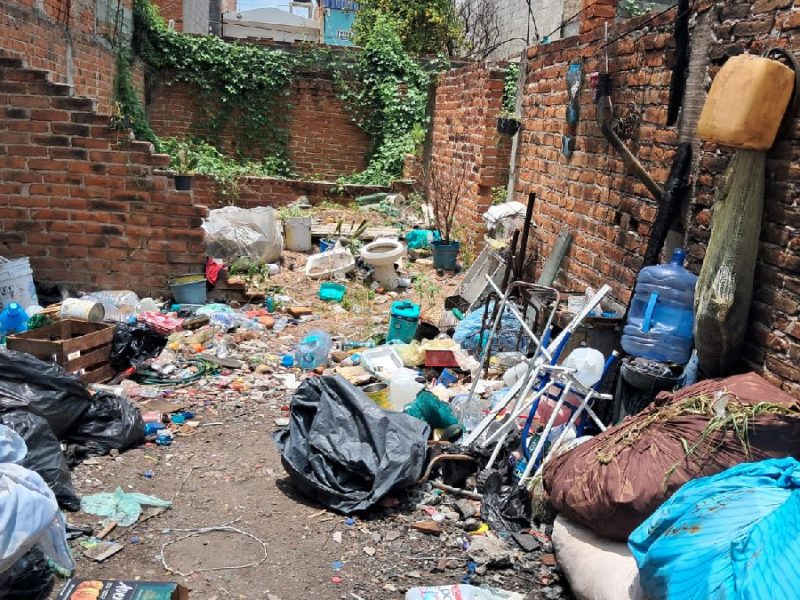Descubren maltrato animal: Hallan restos de perritos en obra negra