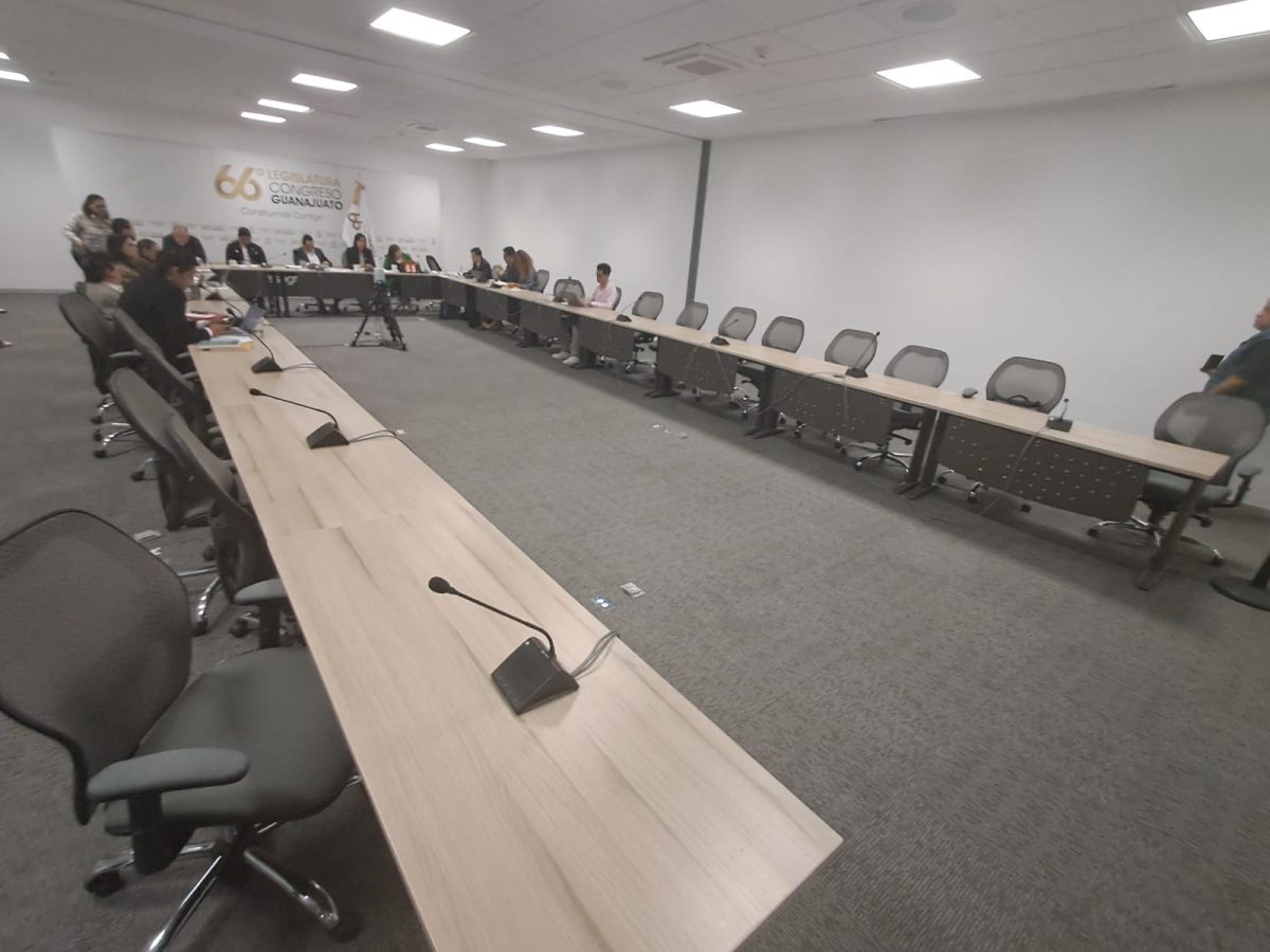 Gobierno y Poder Judicial desairan mesa sobre el aborto en Guanajuato