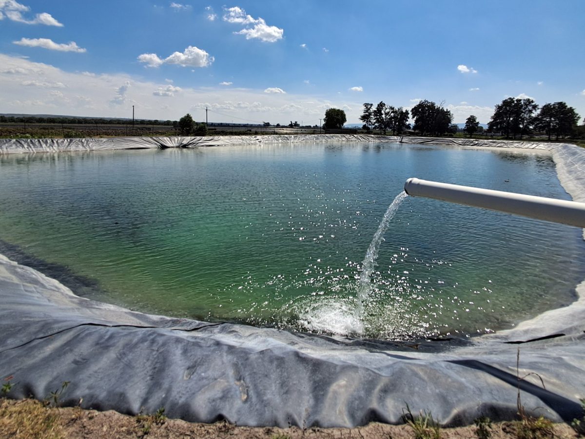 Entró al agua y ya no salió: Hallan sin vida a Benjamín en estanque de La Esmeralda en León