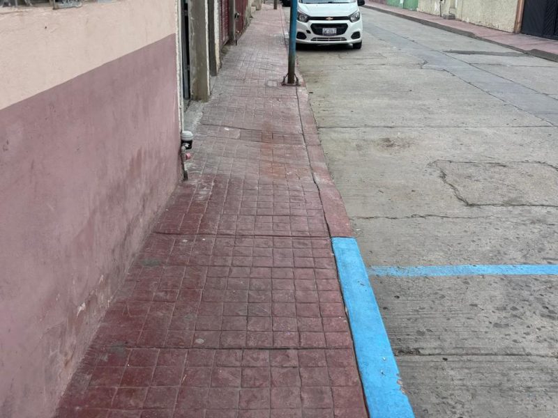 Buscan ampliar banquetas en Purísima del Rincón; en San Pancho, un árbol ‘hace chispas’