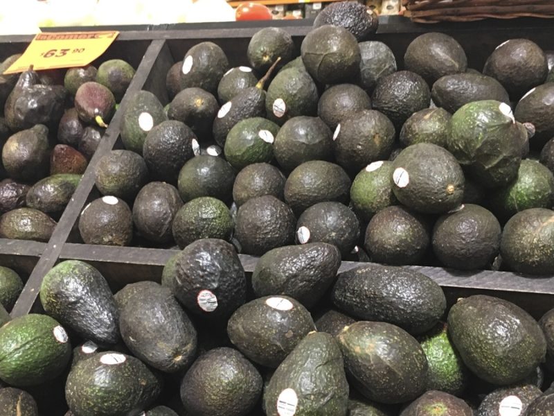 Reanudan productores de Michoacán exportación de aguacate tras vigilancia federal