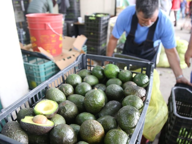 Libera EU 9 mil toneladas de aguacate tras acuerdo y seguridad en Michoacán