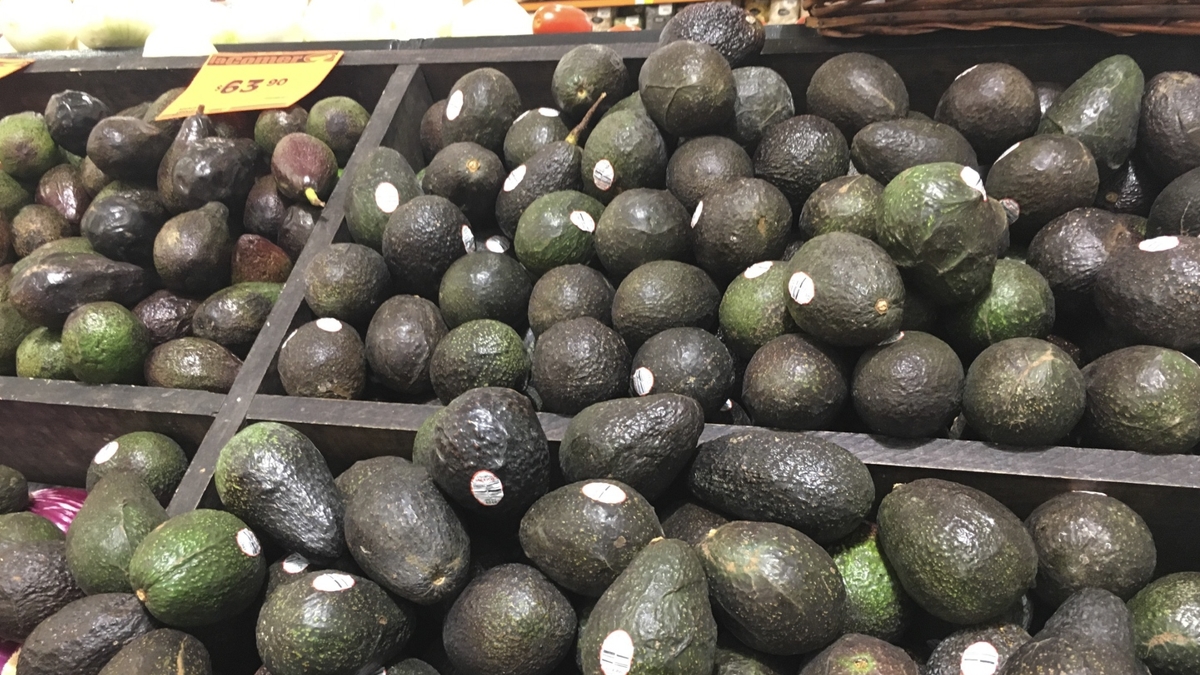 Aguacate
