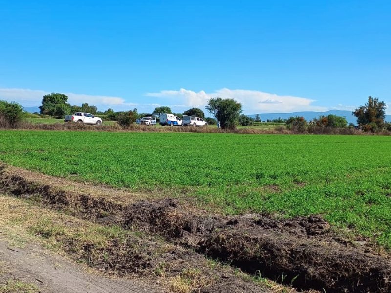 Localizan cuerpo semienterrado en la comunidad San Cayetano en Celaya
