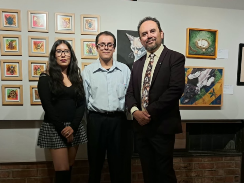 Unen arte y causa con la muestra Animal Arts 2026 a favor de Gaticos AC