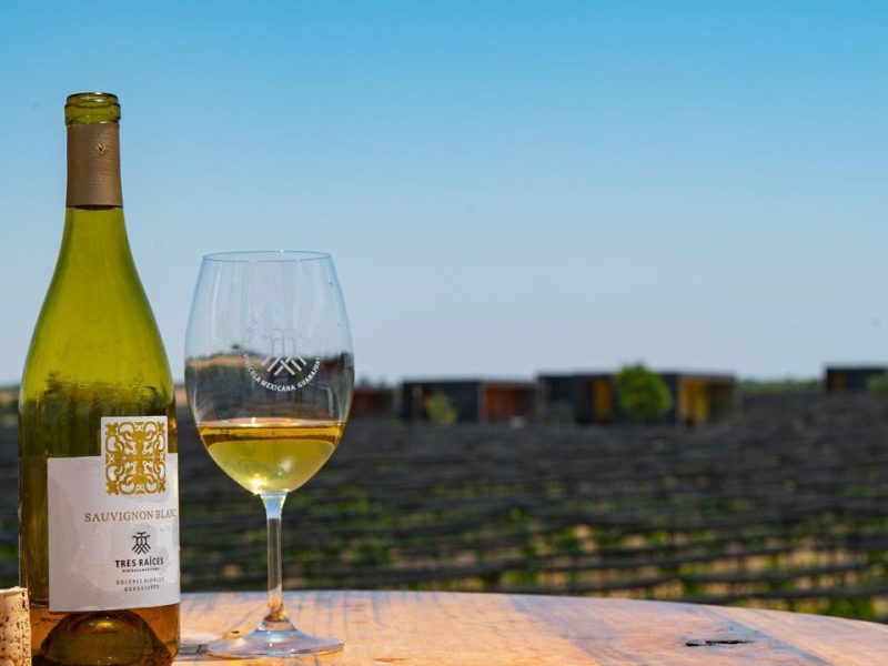 Festival “De Vino en Vino” 2026 en Irapuato: Catas, música y gastronomía 