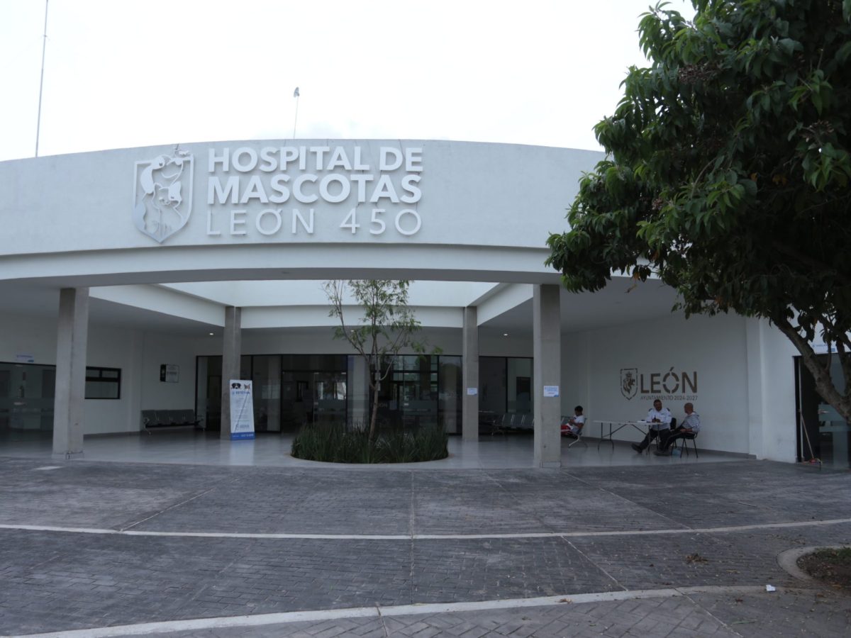 Saturación frena entrega de cenizas en Hospital de Mascotas de León; tardan un mes