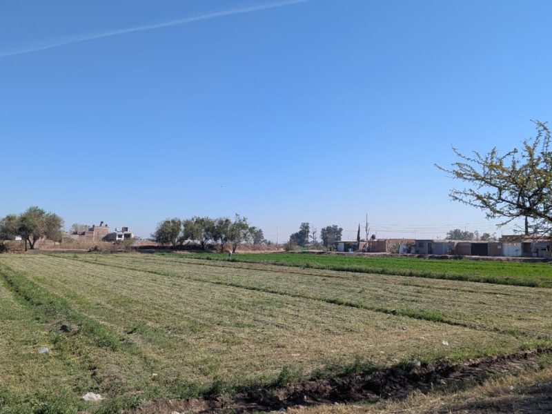 Golpean granizadas a 20 mil hectáreas en Pénjamo; exigen apoyos reales para el campo