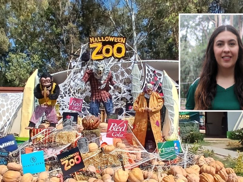 Sí habrá ‘Halloween Zoo’ este año, pero… no en el Zoológico