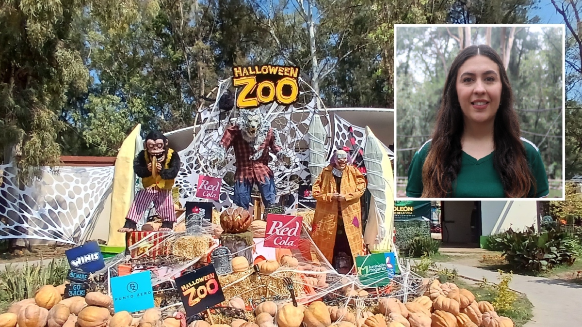 Halloween Zoo Zoológico León