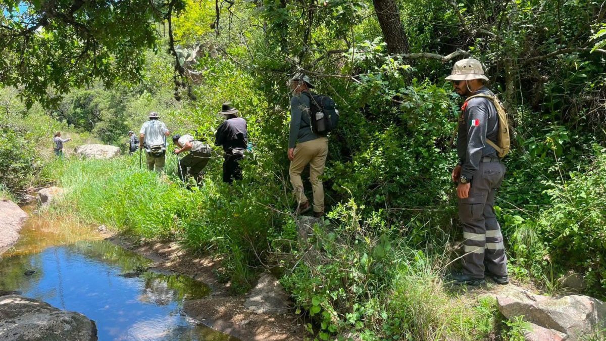 Hallan sin vida a senderista extranjero en San Miguel de Allende
