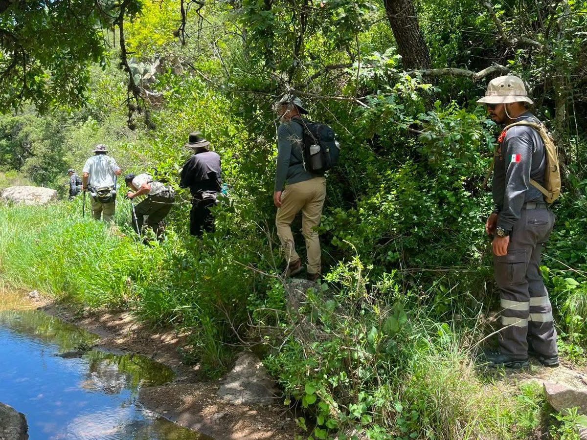 Hallan sin vida a senderista extranjero en cañada de San Miguel de Allende tras tres días de búsqueda