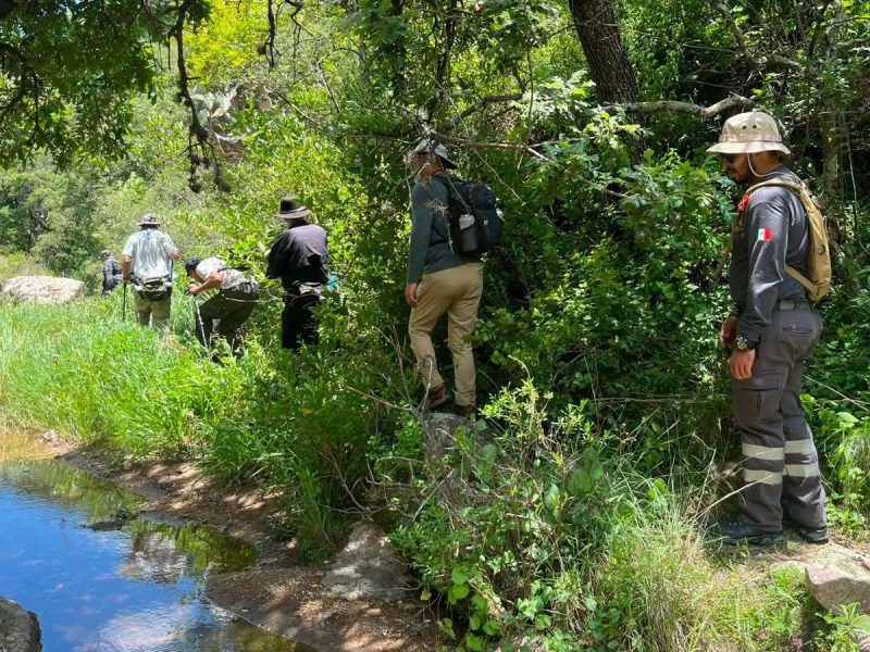 Hallan sin vida a senderista extranjero en San Miguel de Allende