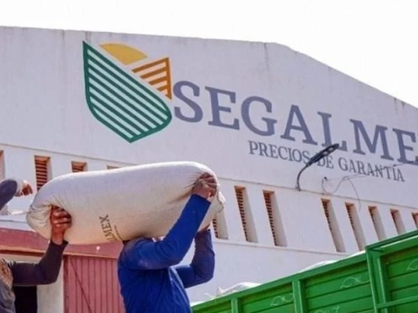 FGR va contra 2 empresarios por desvío de 800 MDP de Segalmex; pierden amparo