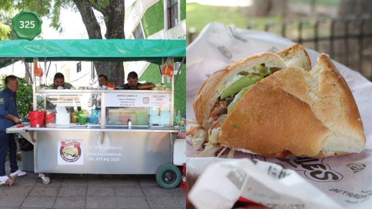 Las Tradicionales del Parque Hidalgo