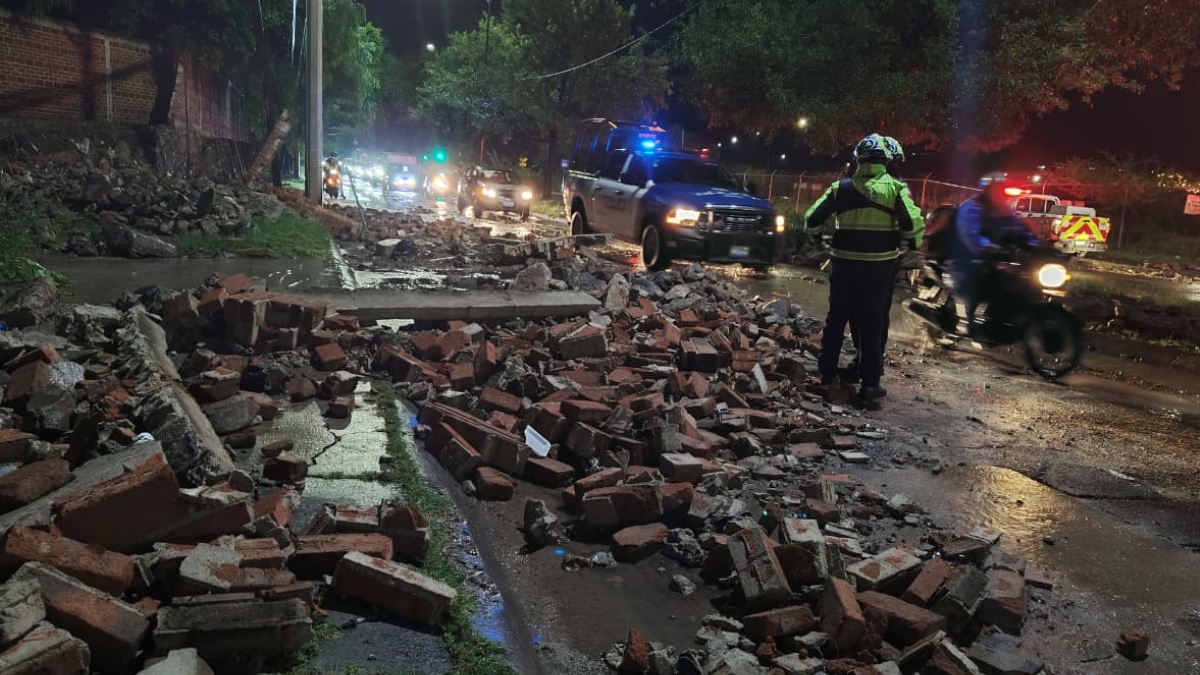 Lluvias tumban barda en León 1