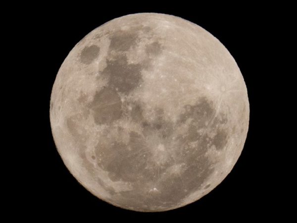 ¡Crash en la Luna! Cohete de SpaceX se estrella y genera alarma por basura espacial