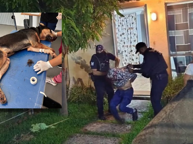 Ataca a su perro con machete y vecinos casi lo matan a golpes en Irapuato