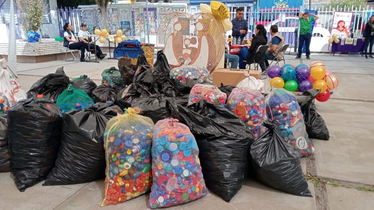 Recolección de tapitas 2