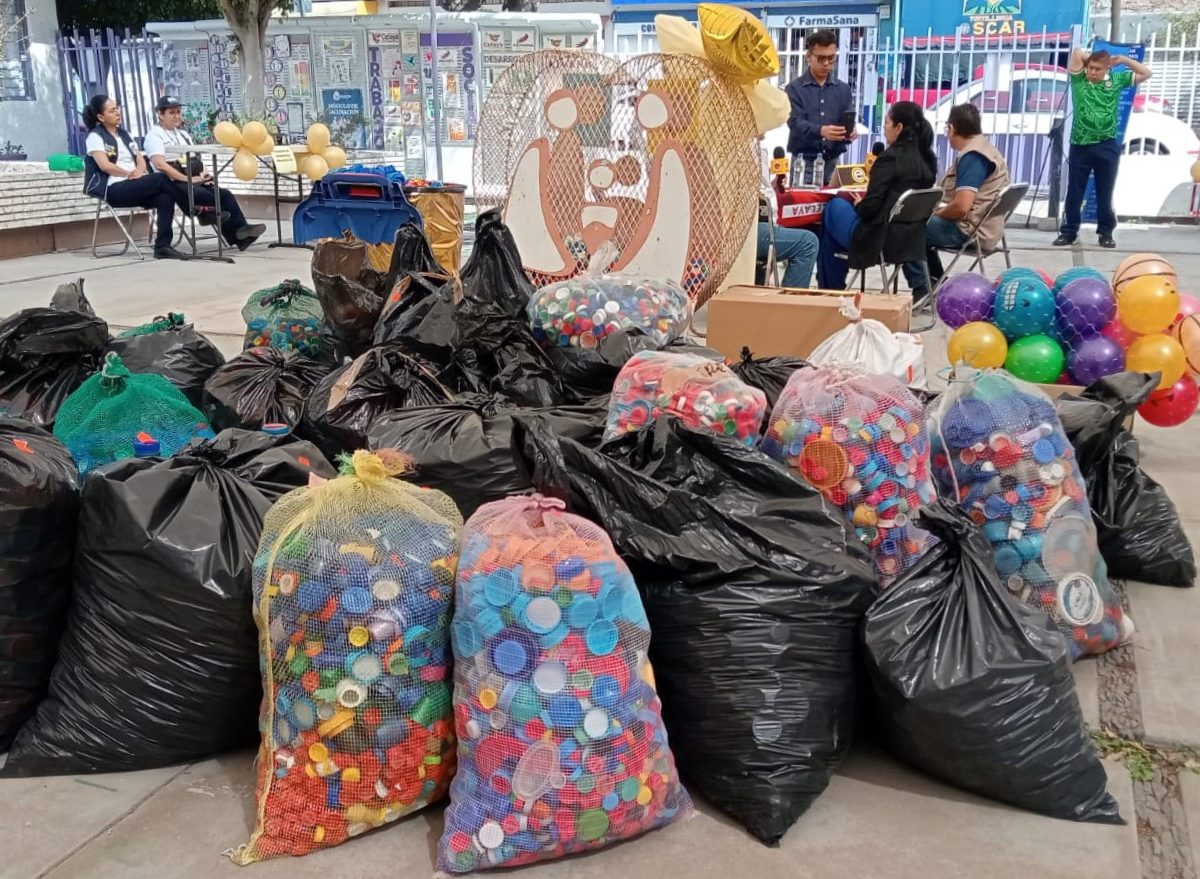 Recolección de tapitas 2