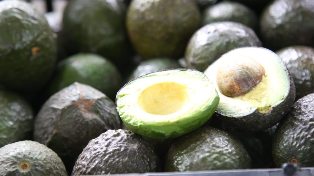Aguacate de Michoacán