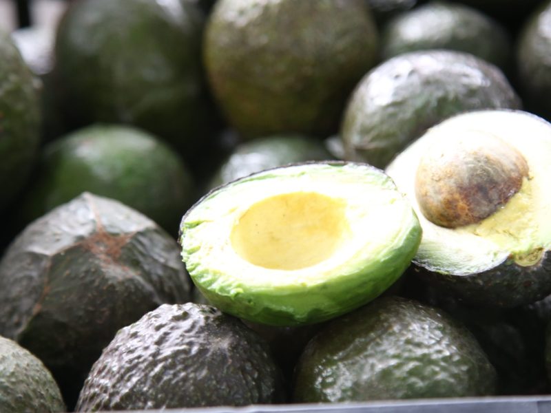 Más aguacate, menos precio: Crisis en Michoacán golpea a productores de Guanajuato