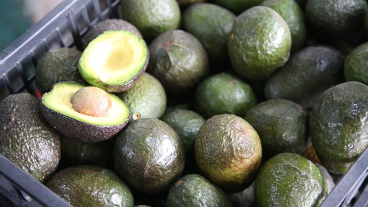 Piden aplicar aranceles al aguacate mexicano