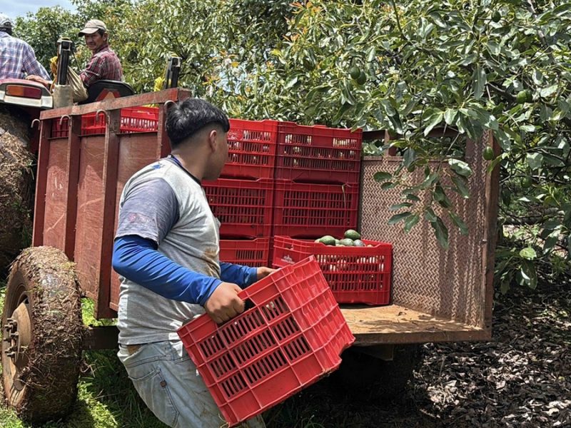 Dan seguridad a inspectores, pero EU mantiene alerta máxima de viaje en Michoacán