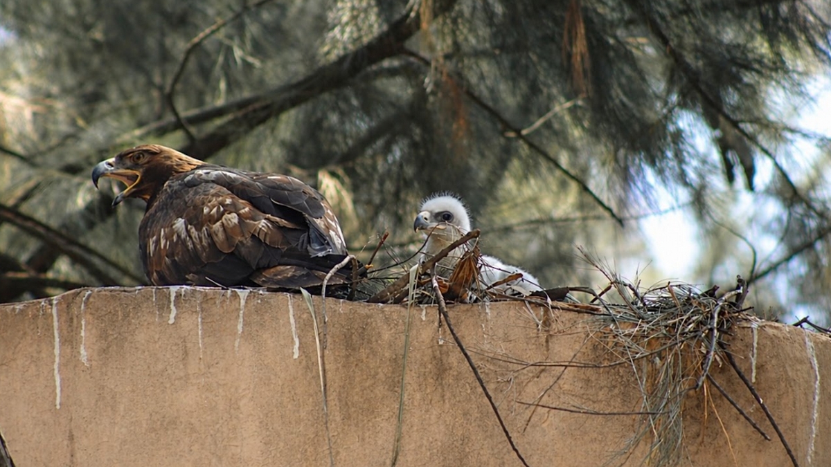Zoológico de León