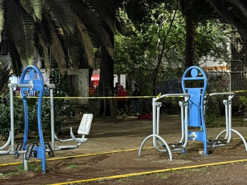 Bebía jovencito con sus amigos y llega sicario a matarlo en parque de Irapuato