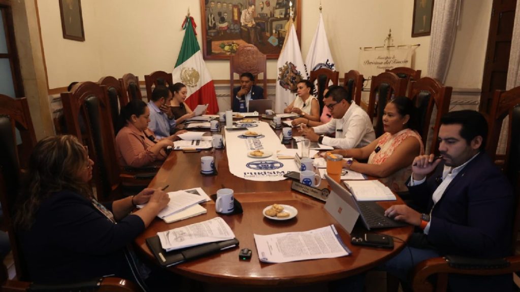 auditoría purísima aseg
