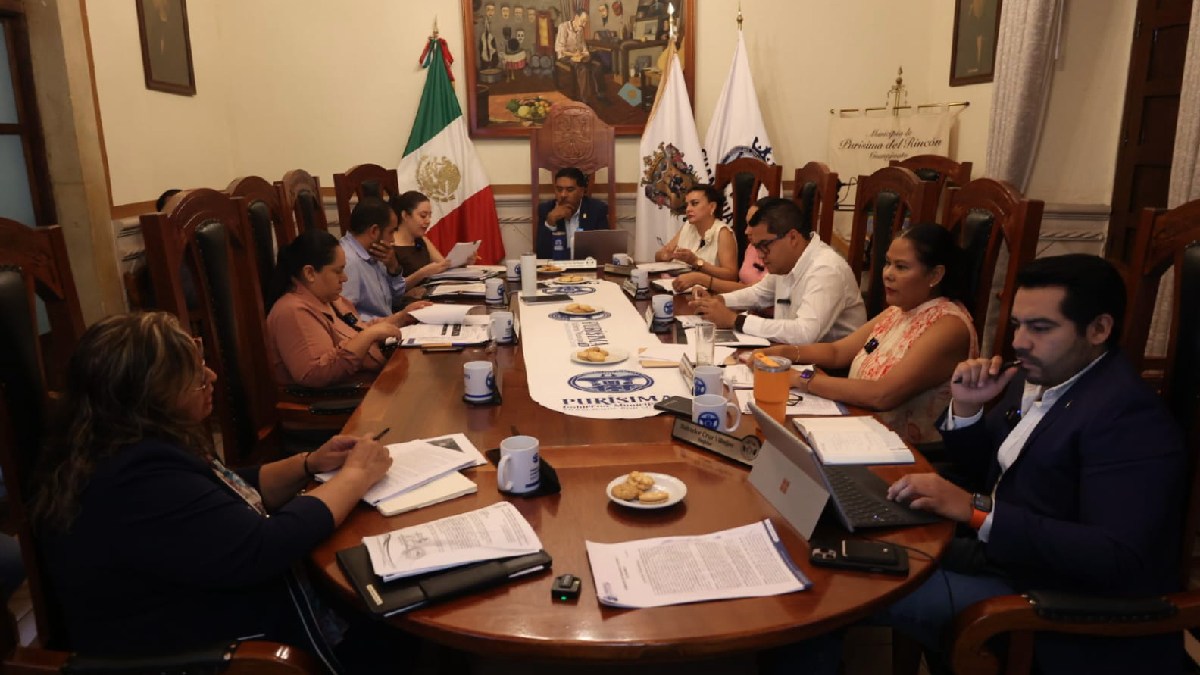 auditoría purísima aseg